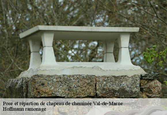 Pose et répartion de chapeau de cheminée 94 Val-de-Marne  Hoffmann ramonage