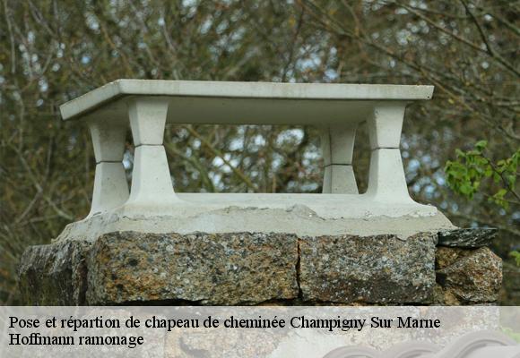 Pose et répartion de chapeau de cheminée  champigny-sur-marne-94500 Hoffmann ramonage