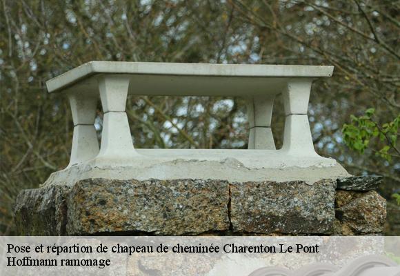 Pose et répartion de chapeau de cheminée  charenton-le-pont-94220 Hoffmann ramonage